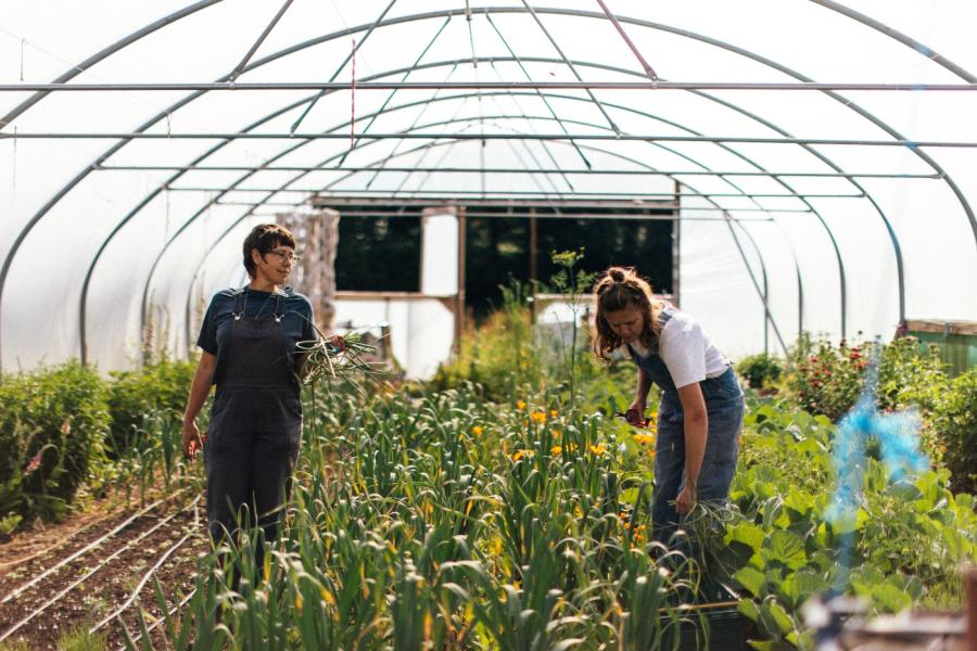 WILSONSMARKETGARDEN-2647