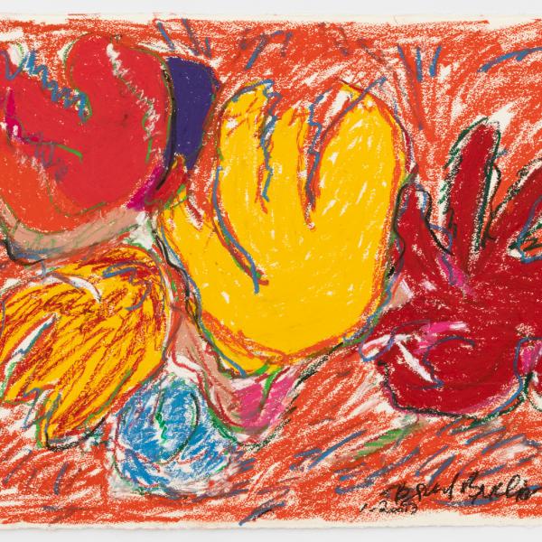 8_Beverly Buchanan, Large Tulips, 2007@0.5x