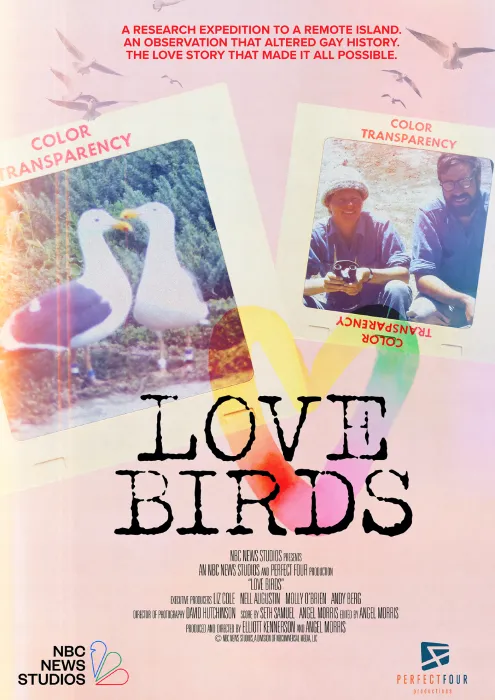 LOVE BIRDS_Poster_210x297mm