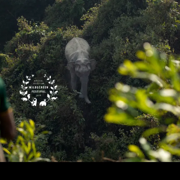 In the Path of Giants