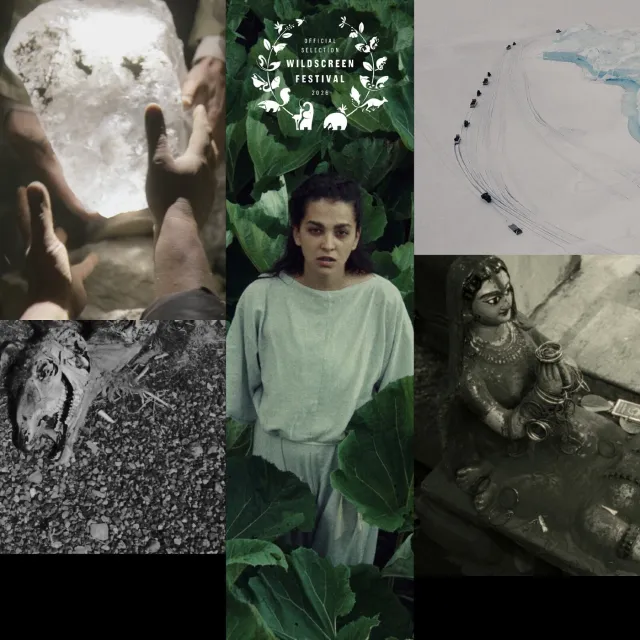 Folk Futures