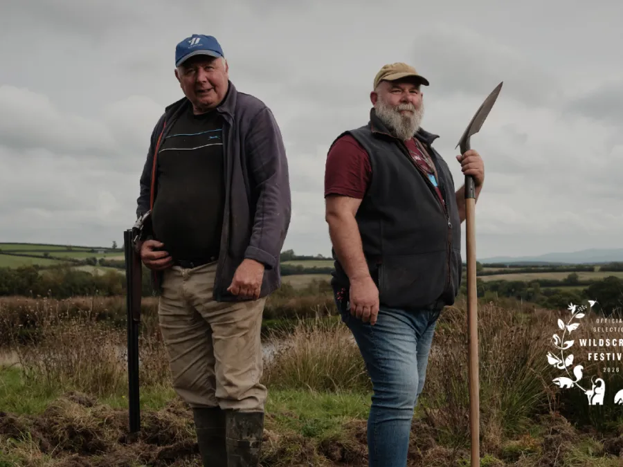 Derek vs Derek