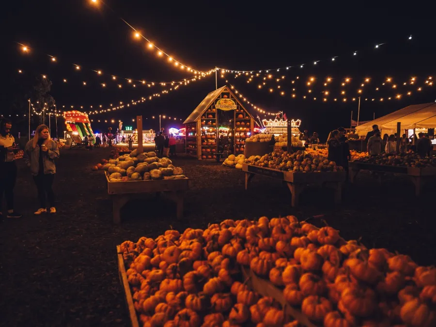 Avon Valley Pumpkin Patch W_C 6th Oct 