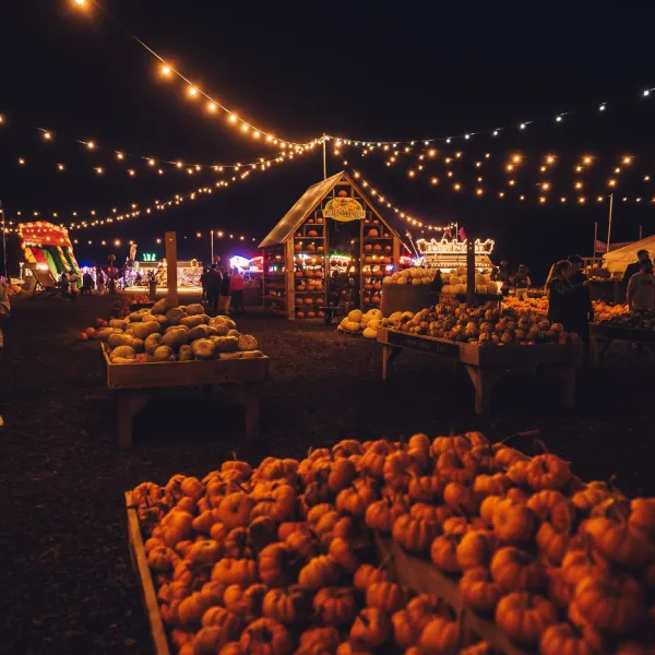 Avon Valley Pumpkin Patch W_C 6th Oct 