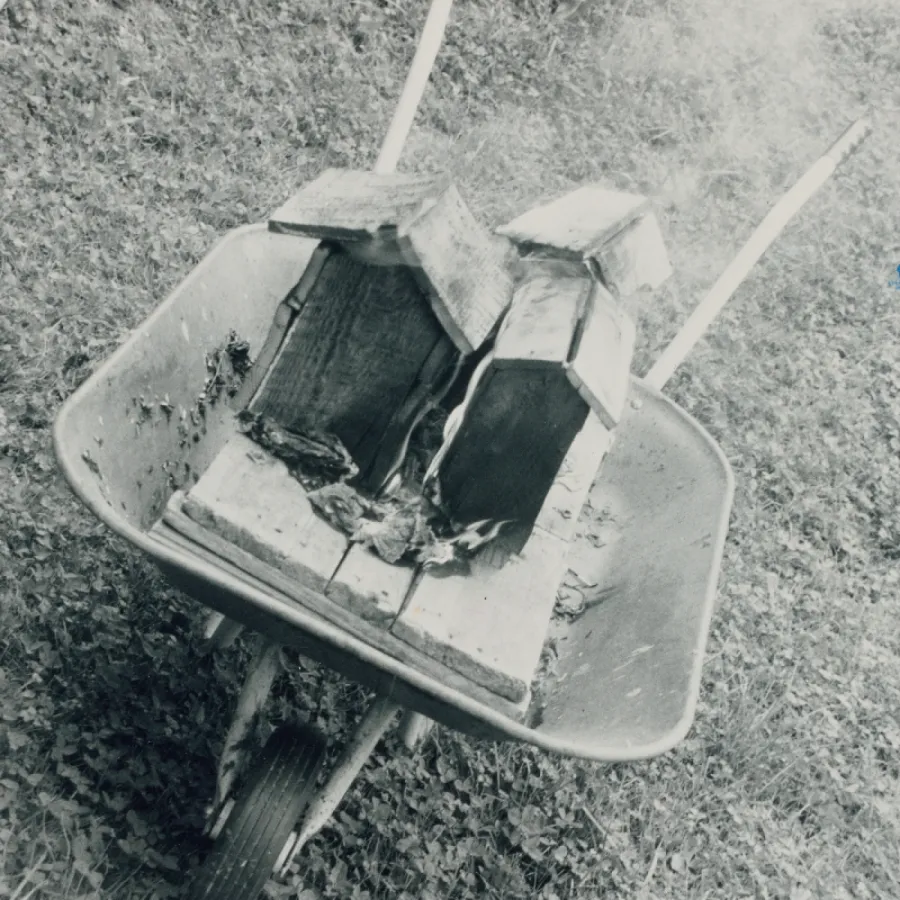 1_Beverly Buchanan, Out of control, 1991-v1