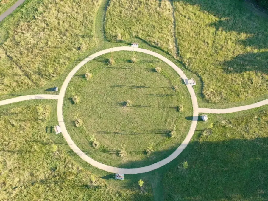 Overhead-shot-Blossom-Circle-Credit-Barrie-Knight-e1747131998289.jpg