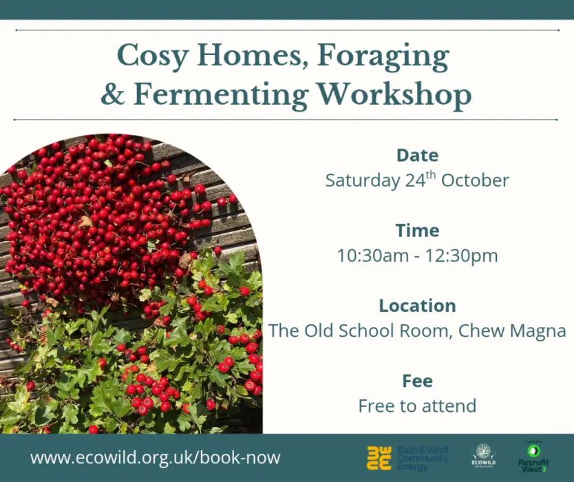 Cosy Homes Chew Magna FB