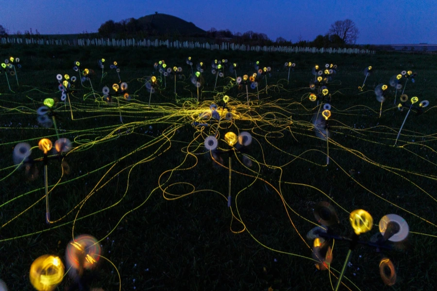 Oreum © 2026 Bruce Munro. Photography by Serena Munro 7008