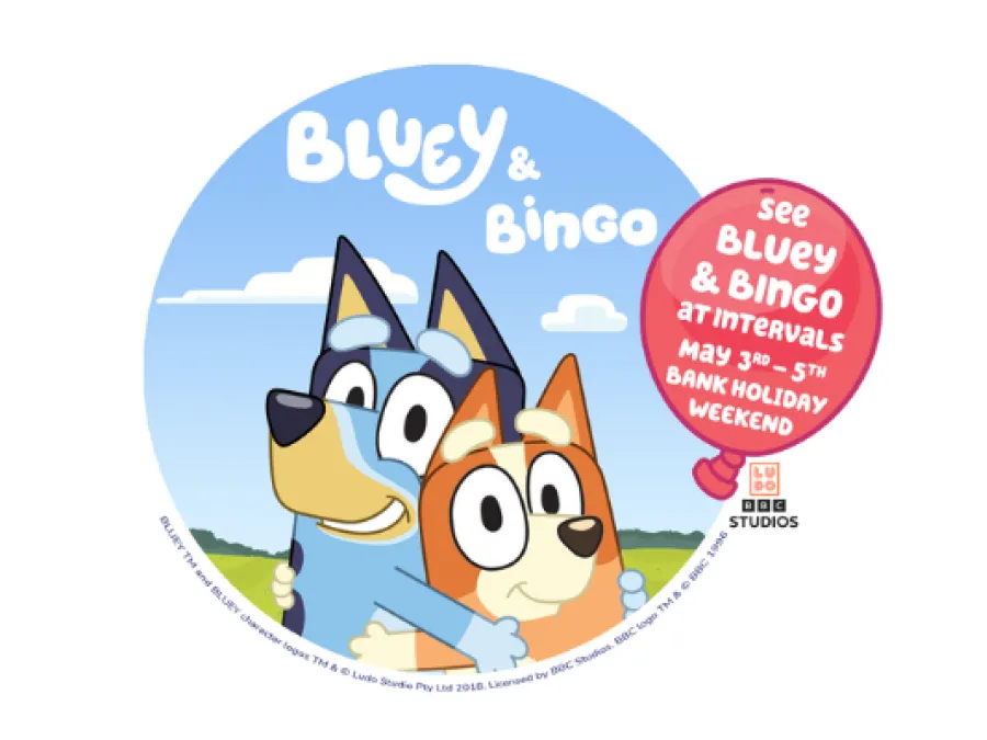Nearfield_Header_Bluey___Bingo